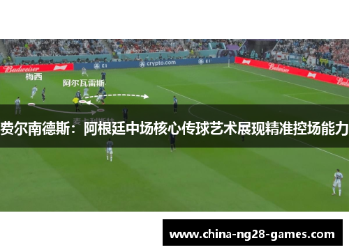 费尔南德斯：阿根廷中场核心传球艺术展现精准控场能力